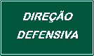 Curso de Direção Defensiva